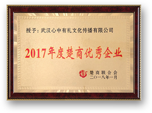2017年度楚商優(yōu)秀企業(yè).jpg
