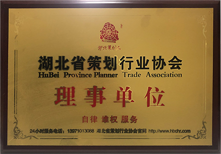 湖北策劃行業(yè)協(xié)會理事單位.jpg