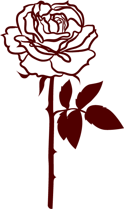 81.png